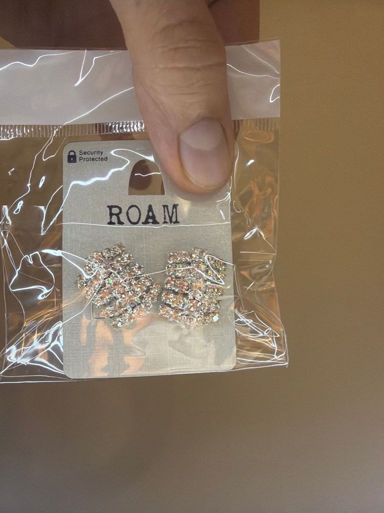 Other Roam Earrings product image
