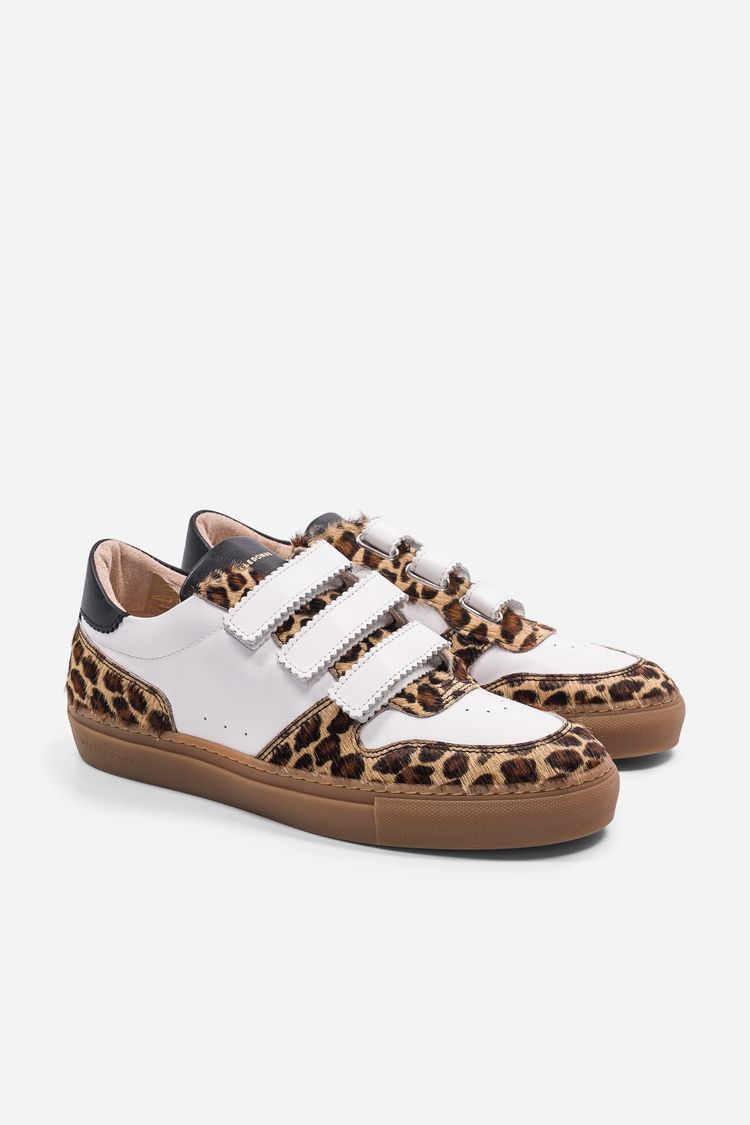 Other B0 Velcro Safari - Light product image