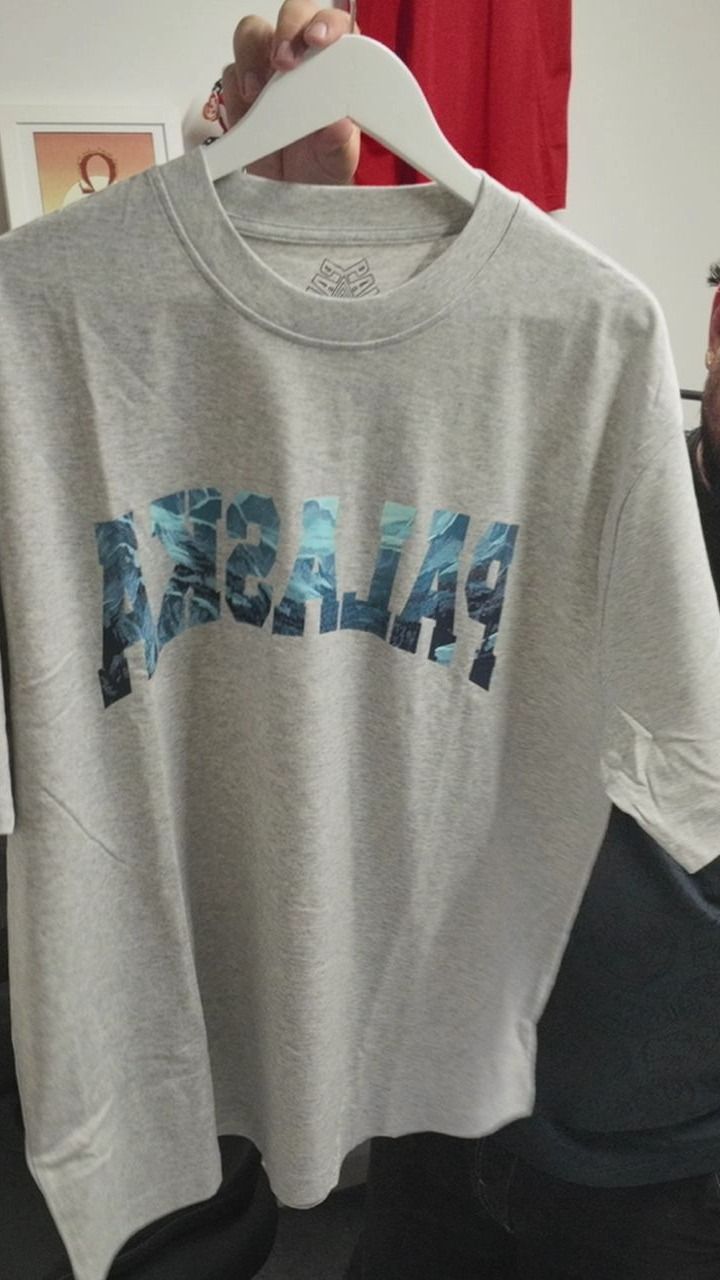 Palace Palace Palaska Tee Grey XL product image