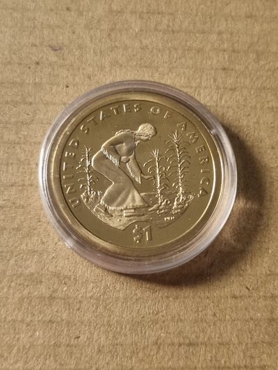 United States $1 Coin Liberty 1 dollar