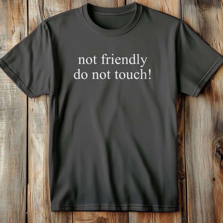 Not Friendly - T-Shirt US image 4