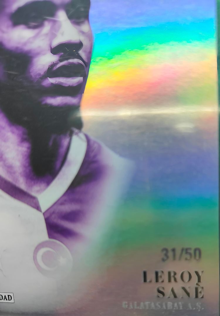 Immagine di Leroy Sane /50 2