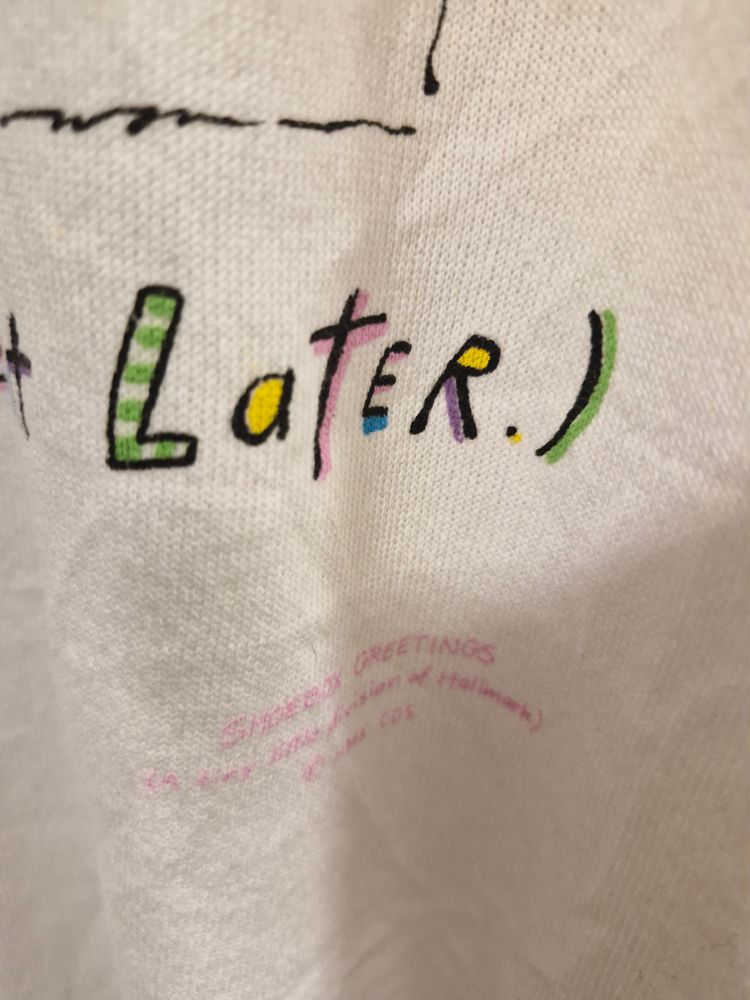 Hanes White Sweatshirt 3