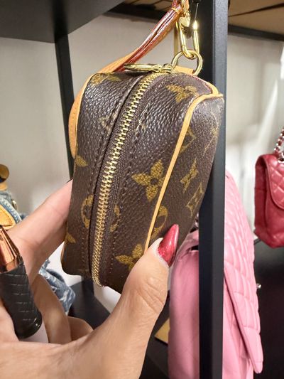 Brown Monogram LV WAPPITY Small Pouch Bag