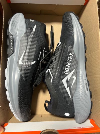 Nike Pegasus Trail 5 Gtx Shoes