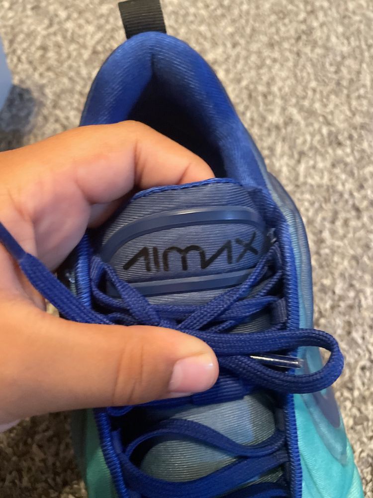 Nike Air Max Sneakers
