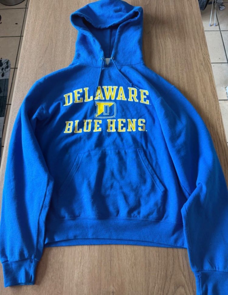 Champion Blue Hoodie Delaware Blue Hens imagen 1