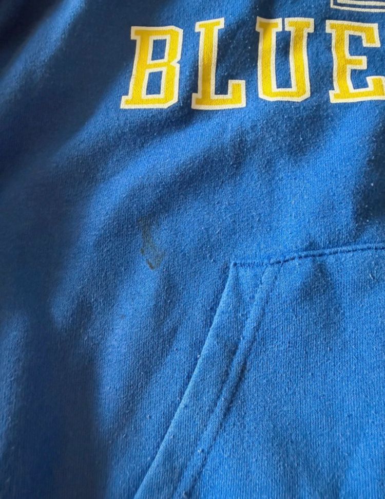 Immagine di Champion Blue Hoodie Delaware Blue Hens 5