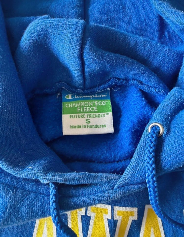 Immagine di Champion Blue Hoodie Delaware Blue Hens 6