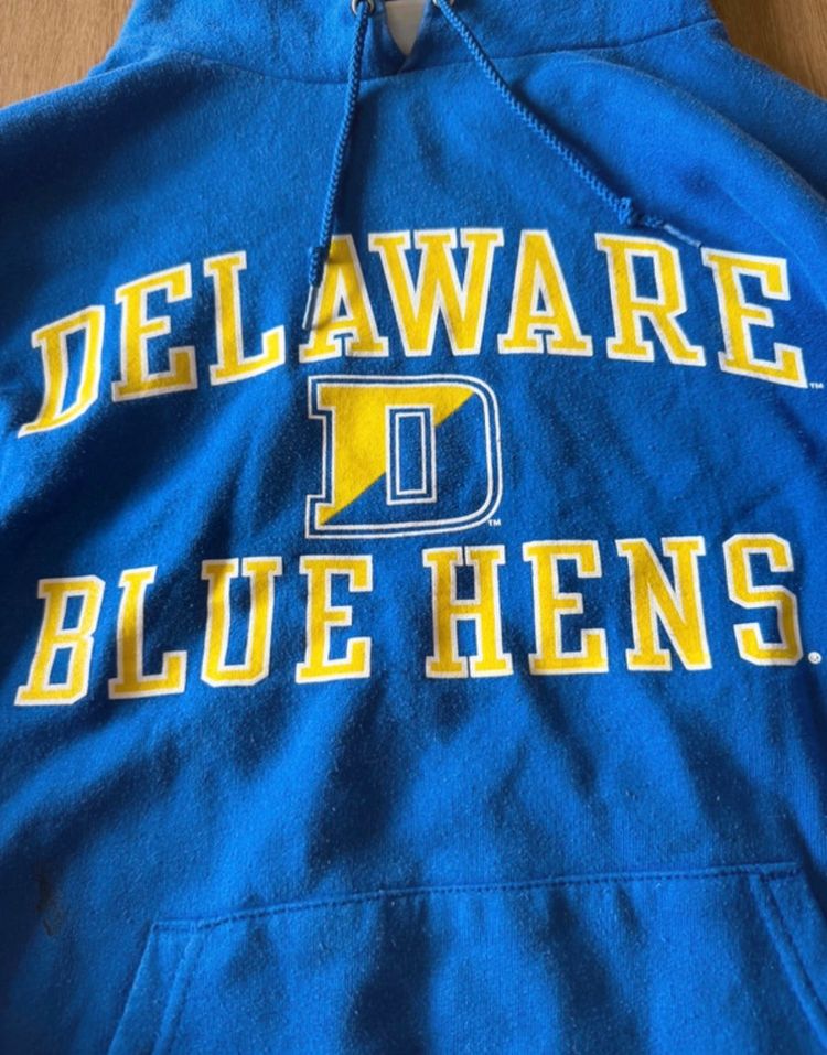 Immagine di Champion Blue Hoodie Delaware Blue Hens 3
