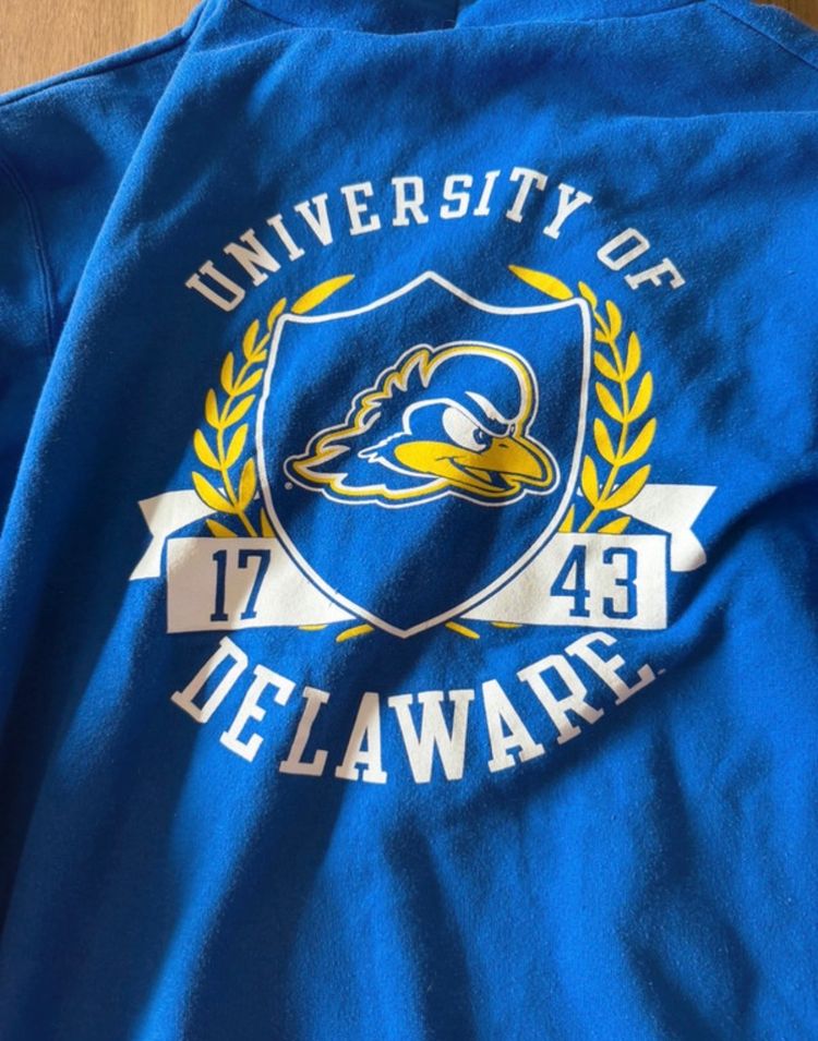 Immagine di Champion Blue Hoodie Delaware Blue Hens 8