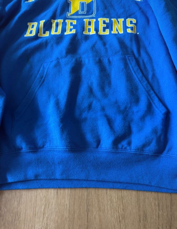 Immagine di Champion Blue Hoodie Delaware Blue Hens 2