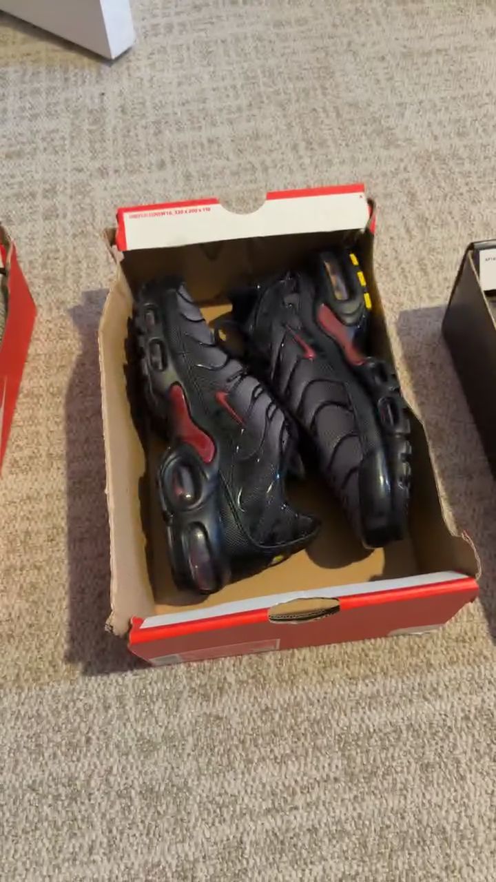 Nike Air Max Plus obraz 1
