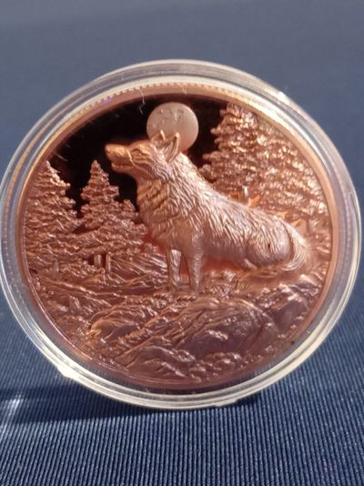 3D Copper Coin With Wolf And Star Design