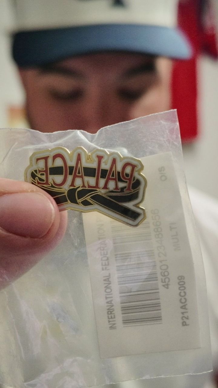 Palace PALACE KARATE BADGE  product image