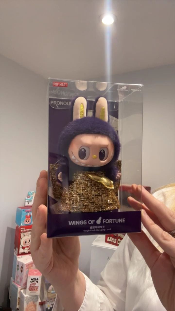 Other wings of fortune product image