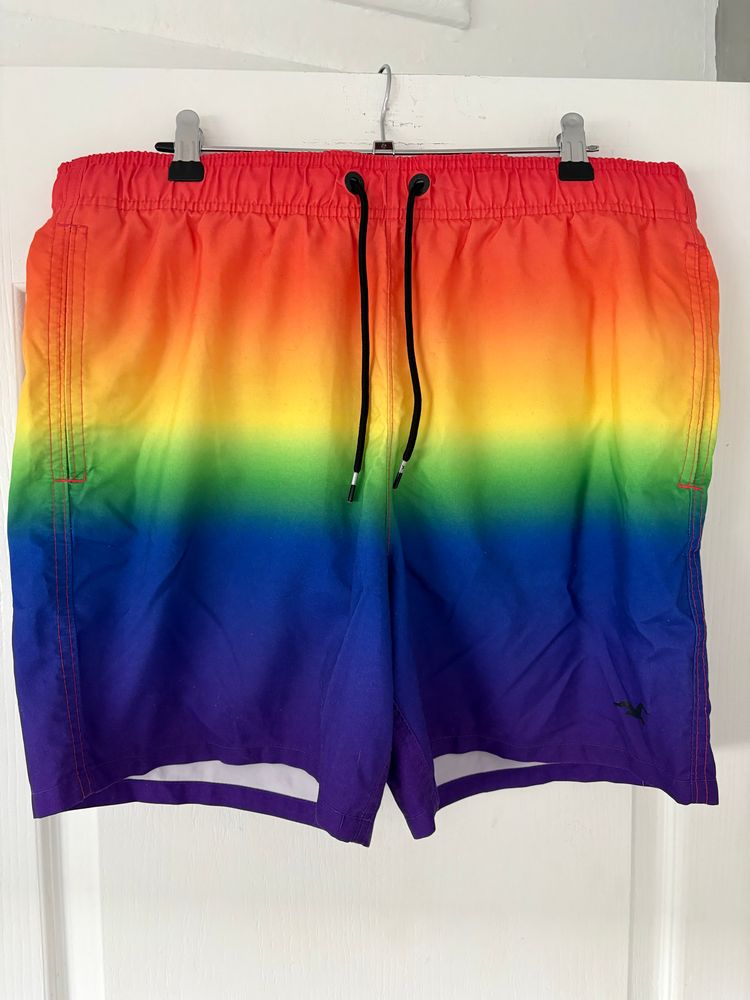 Hollister Co. Hollister Men'S Swim Shorts product image