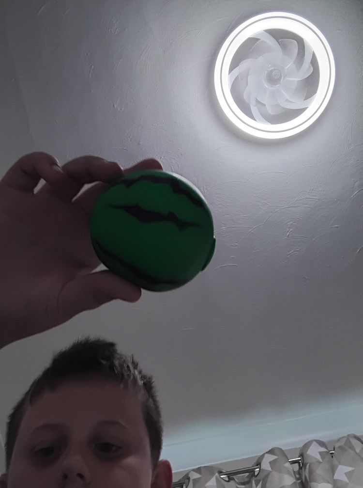 Object Green Round Object With Black Markings product image