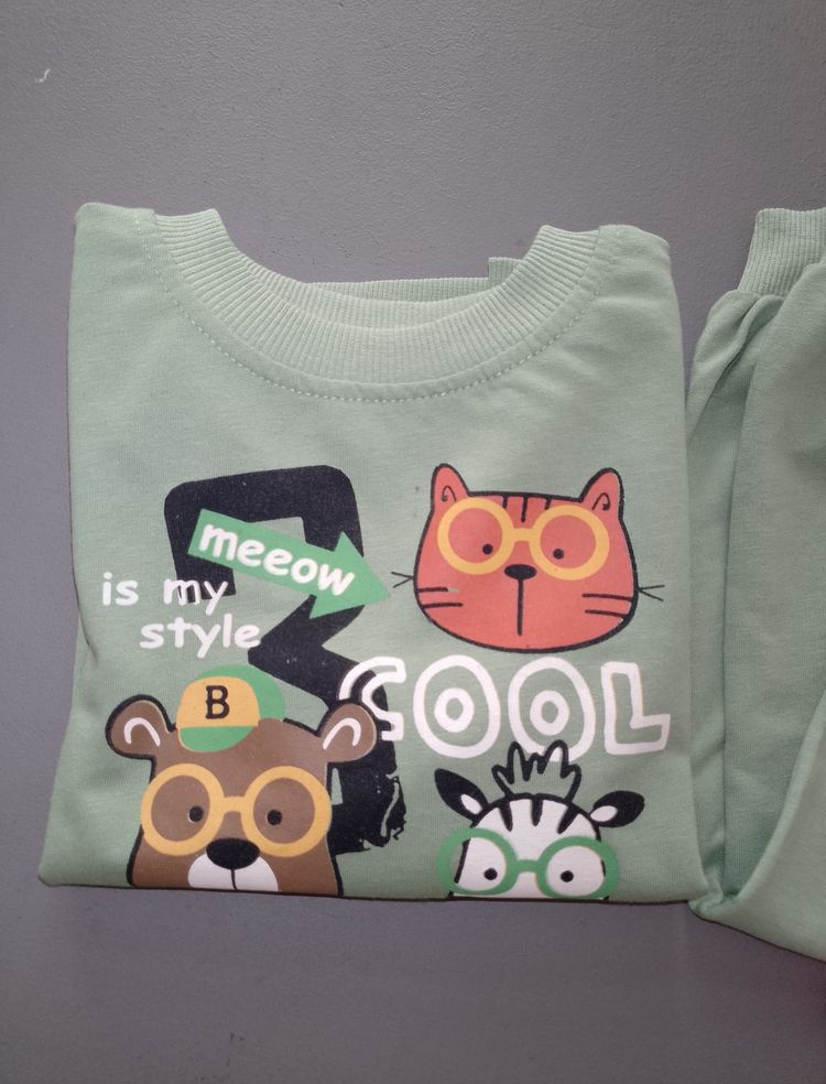 Kids Green Sweatshirt And Sweatpants Set image 2