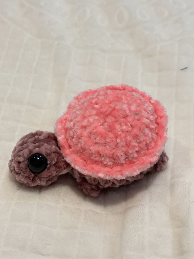 Plush Turtle Toy