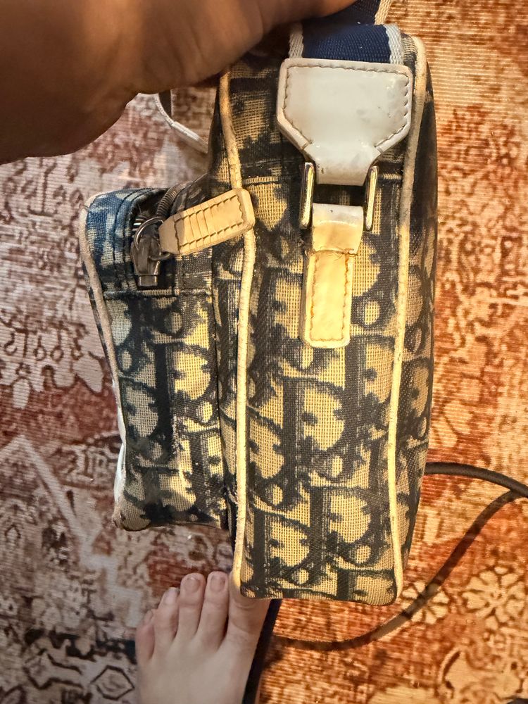 Dior Monogram Crossbody Bag 4