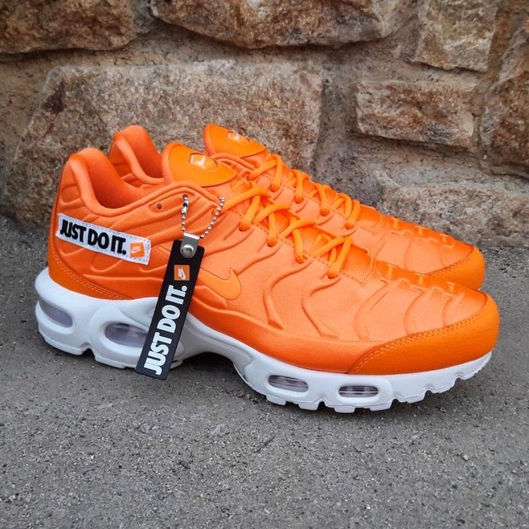Nike Nike Air Max TN Plus product image