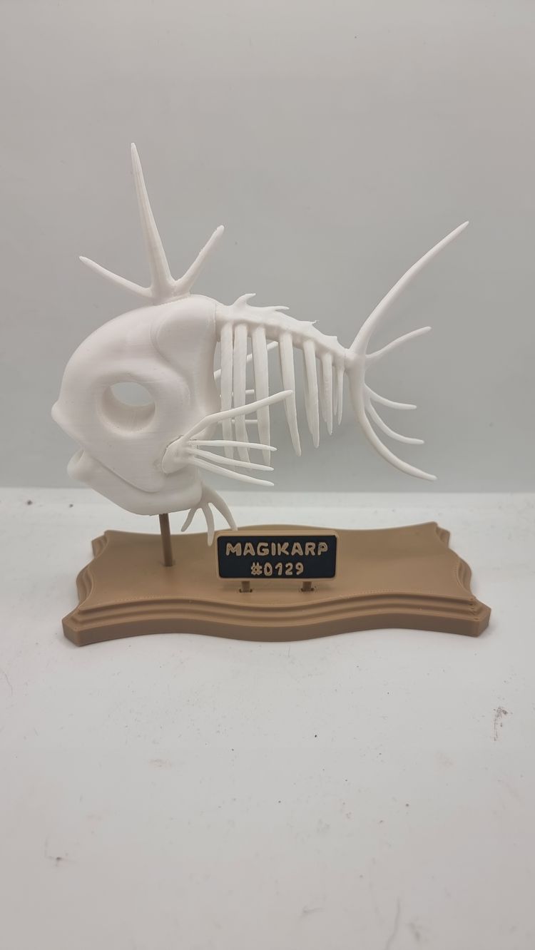 Fossil Magikarp 3d Printed