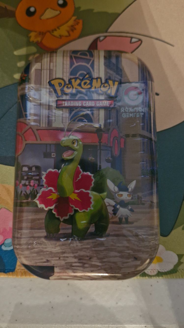 Lumiose city tin