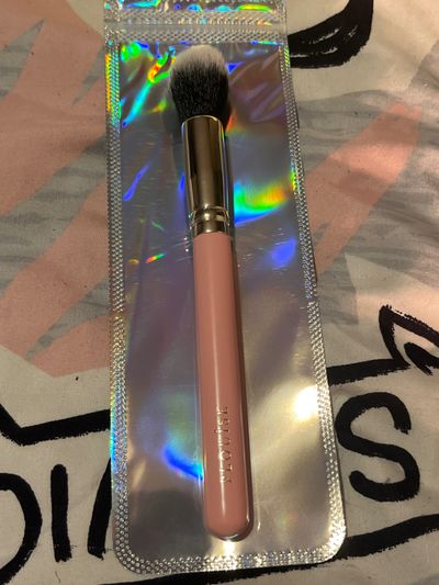 Plouise make up brush #F61