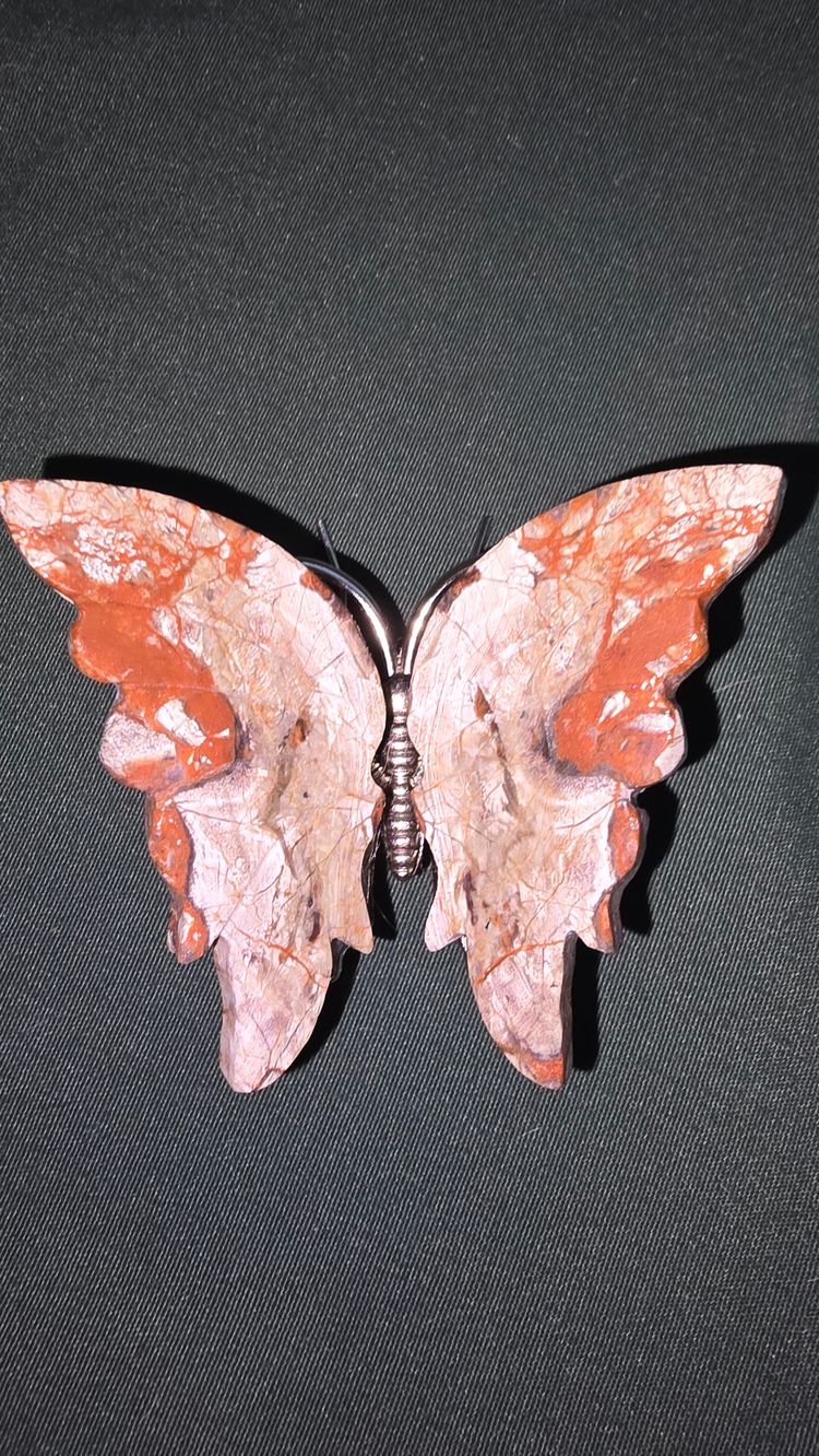 Crazy Lace Agate Butterfly
