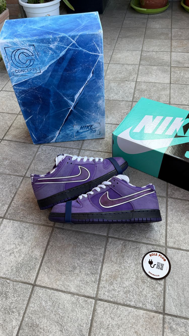 Dunk Low SB Purple Lobster (Special Box) size 42,5