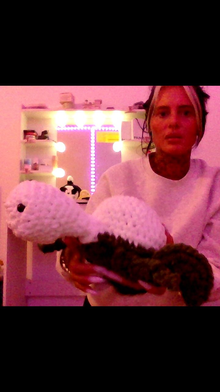 Other large turtle product image