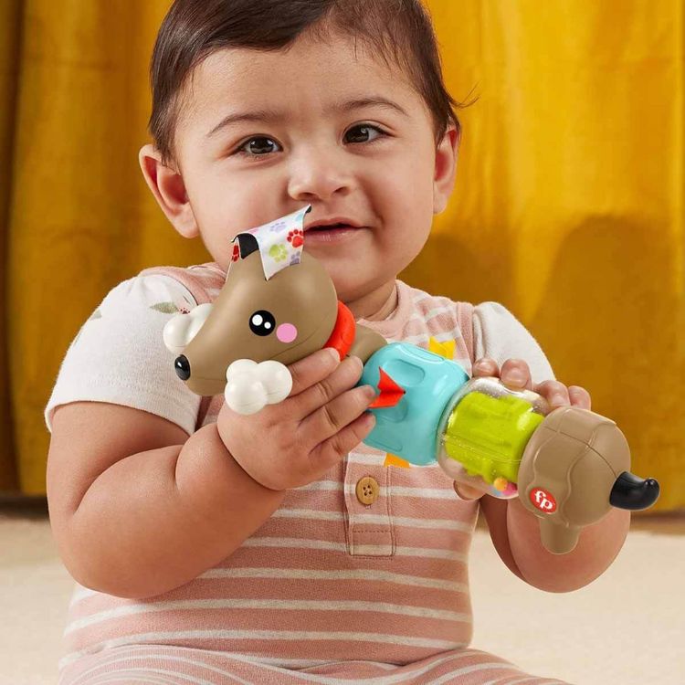 Immagine di Fisher-Price Baby Sensory Click n Spin Pup 3