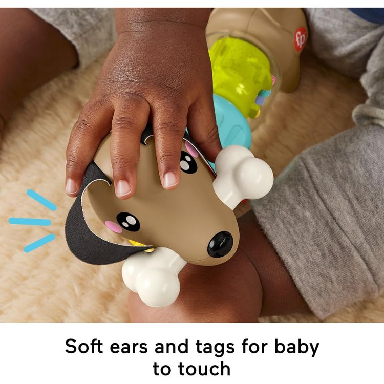 Immagine di Fisher-Price Baby Sensory Click n Spin Pup 4