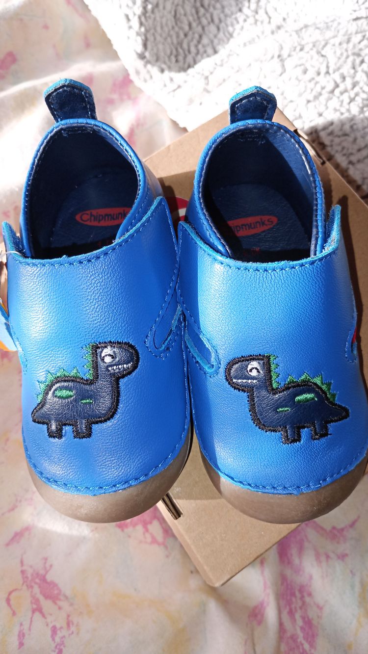 Chipmunks Blue Toddler Shoes With Dinosaur Design image 1