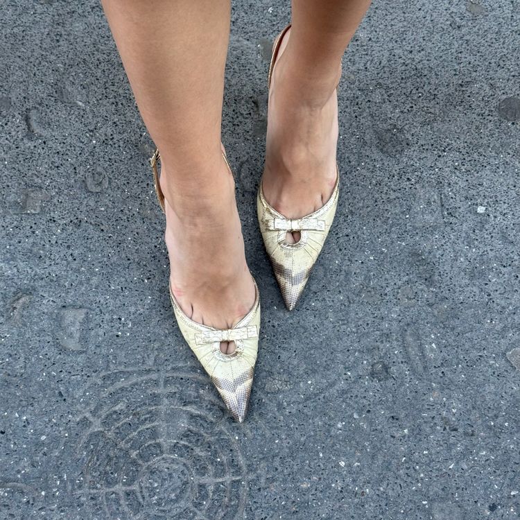 Dolce Gabbana Gold Python Heels 13