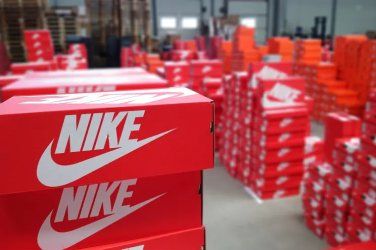 Nike Shoe Pallet 