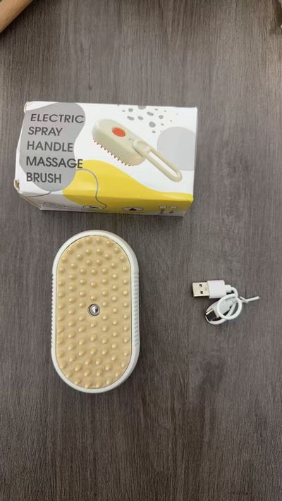 Electric Spray Handle Massage Brush