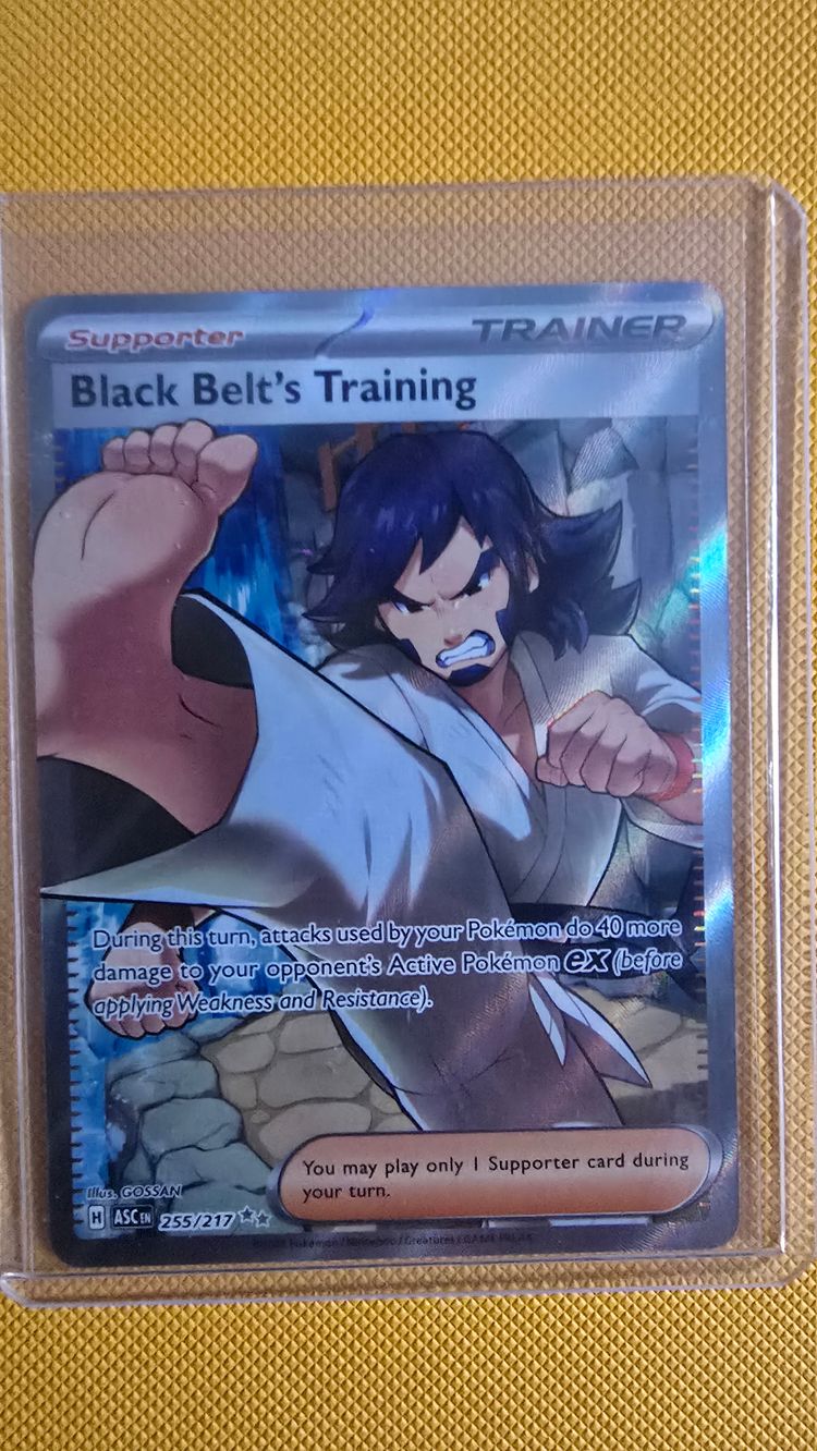 Black Belt'S Training Supporter Trainer Card