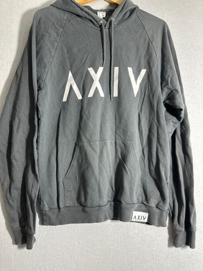 Alexander Ivy (AXIV) Hoddie in Grey