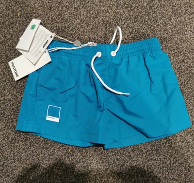 Pantone Universe Blue Swim Shorts