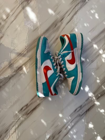 Nike dunk bicolor