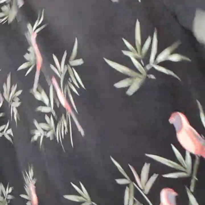 Other Apricot Birds Dress Size 12 product image