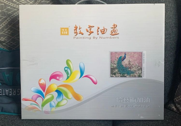 Painting By Numbers Kit image 1