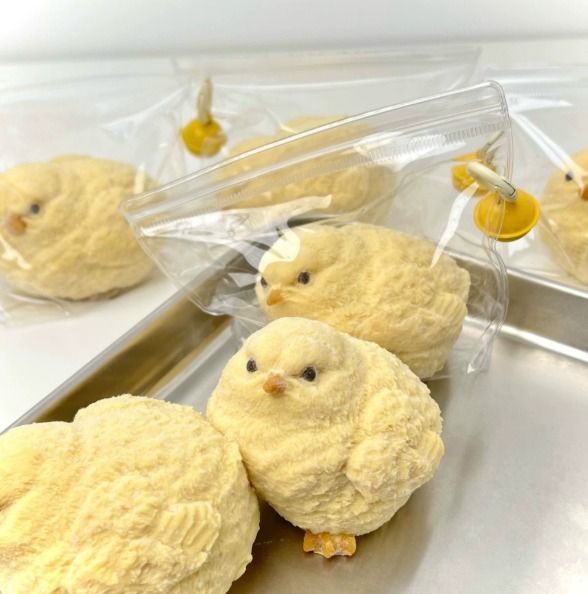 Other Yellow Chick Plush Toy product image
