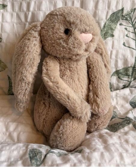 Plush Bunny Toy
