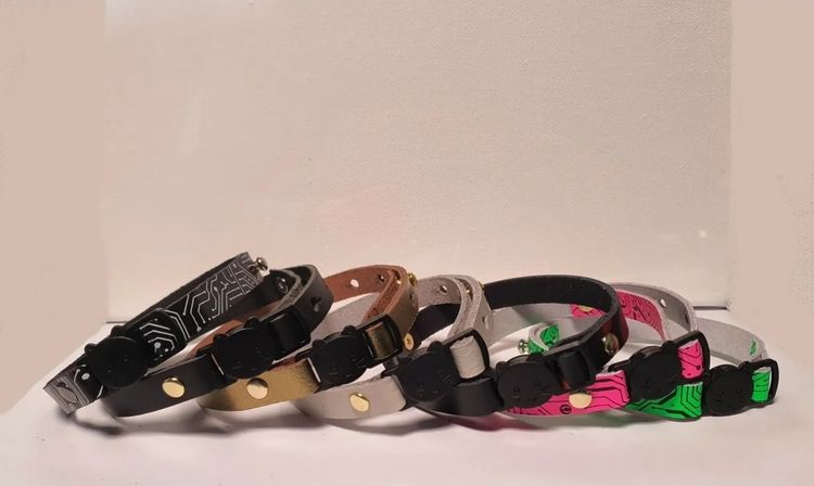 Cat collars 