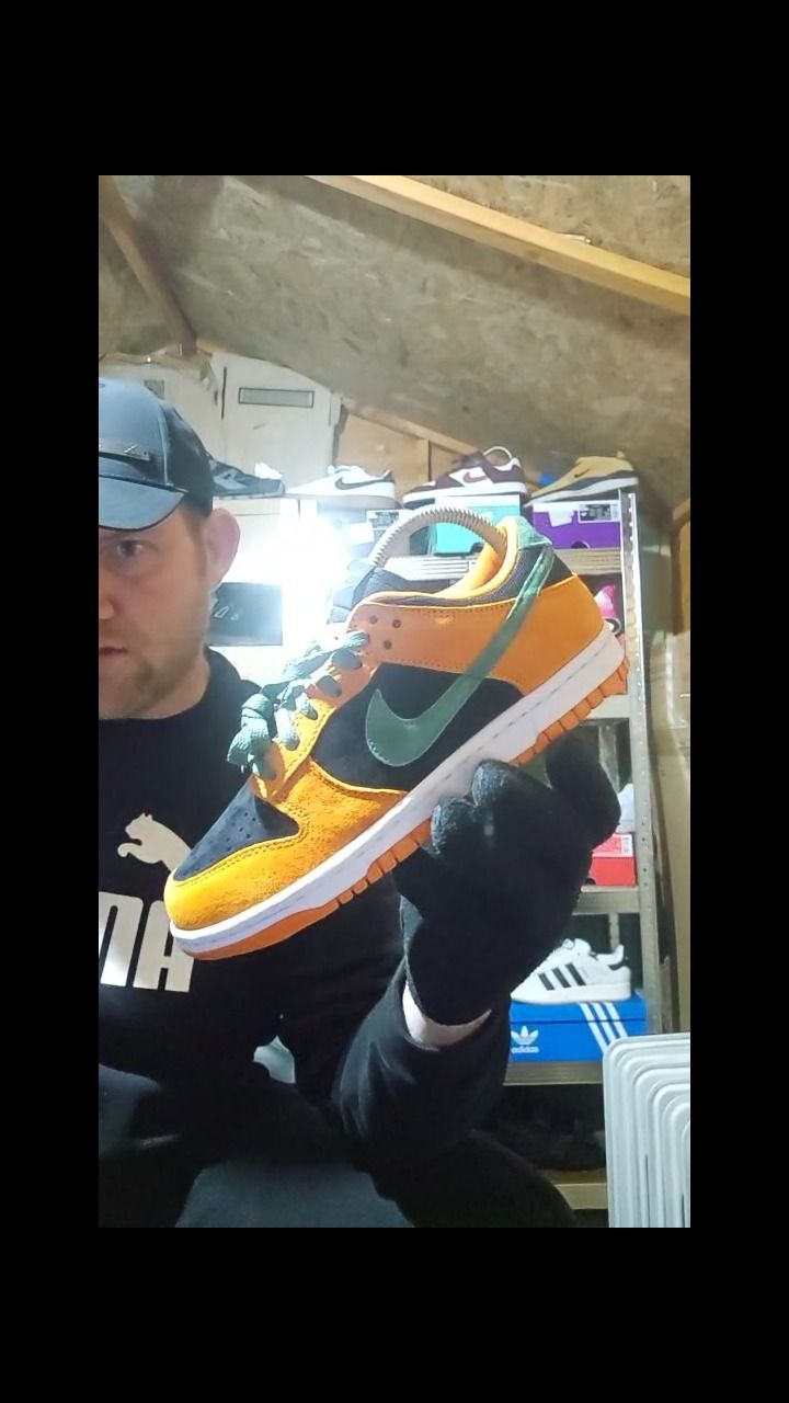 Nike NIKE DUNKS  product image