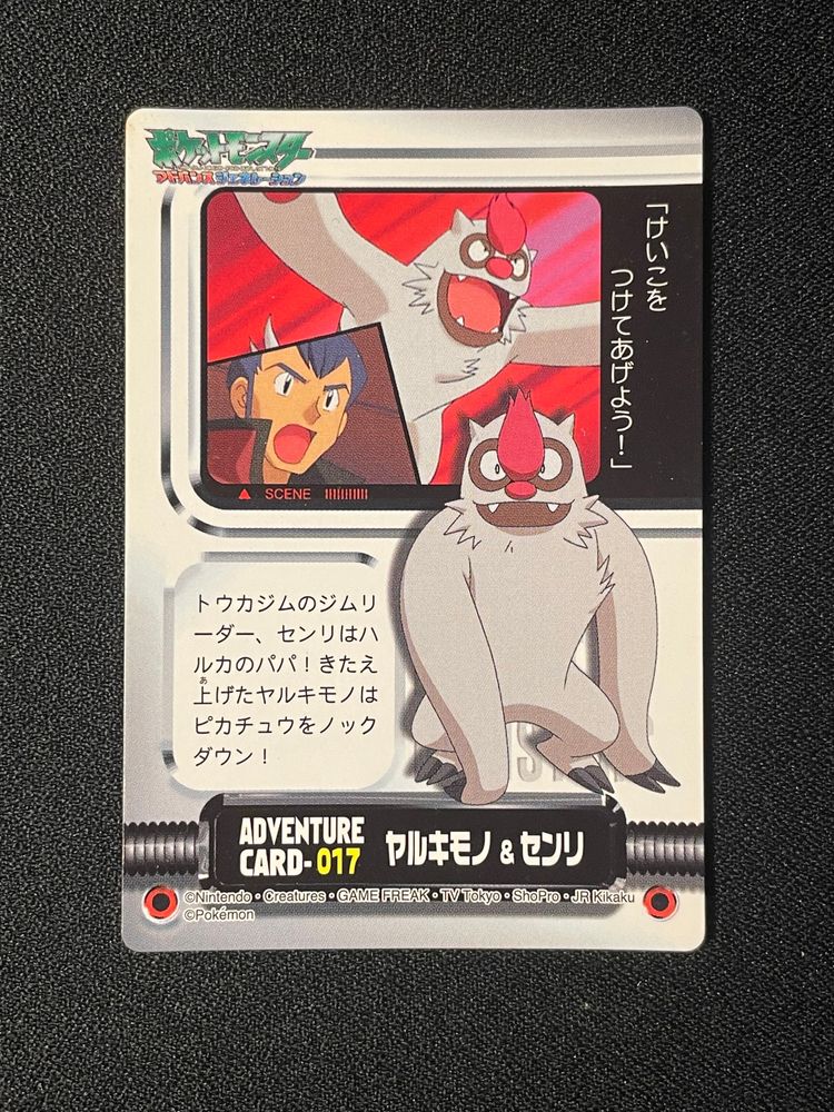 Immagine di Pokémon Adventure Cards Set 10