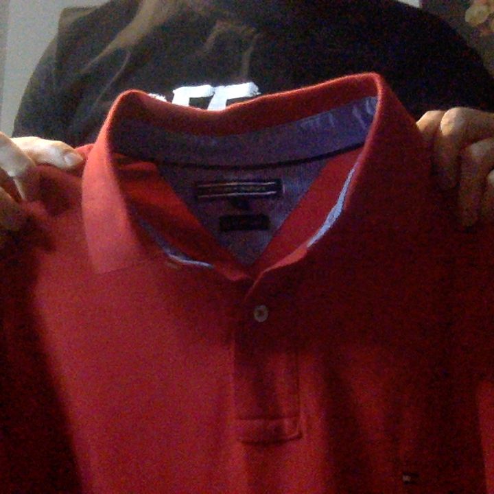 Tommy Hilfiger Tommy Large Red Polo product image